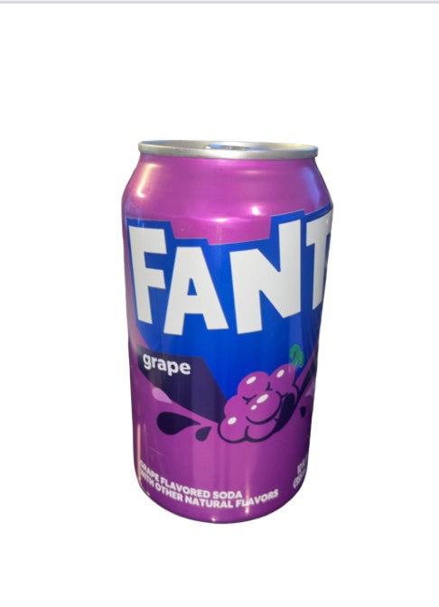 Fanta Raisin 330ml